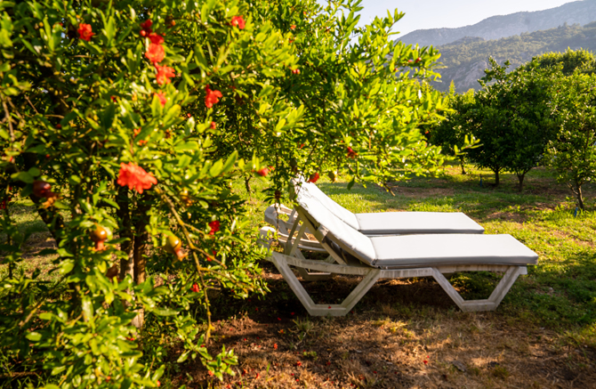 İkiz Villas Zimmer